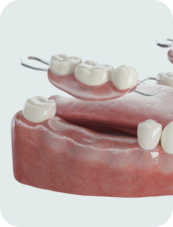 365바른 건강보험